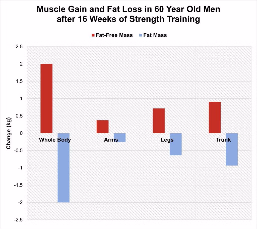 Muscle Gain and Fat Loss after 60