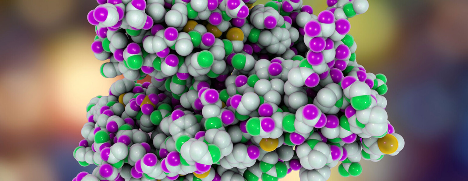 هورمون چیست؟ هر آنچه میبایست در مورد هورمون ها بدانید - بادی من