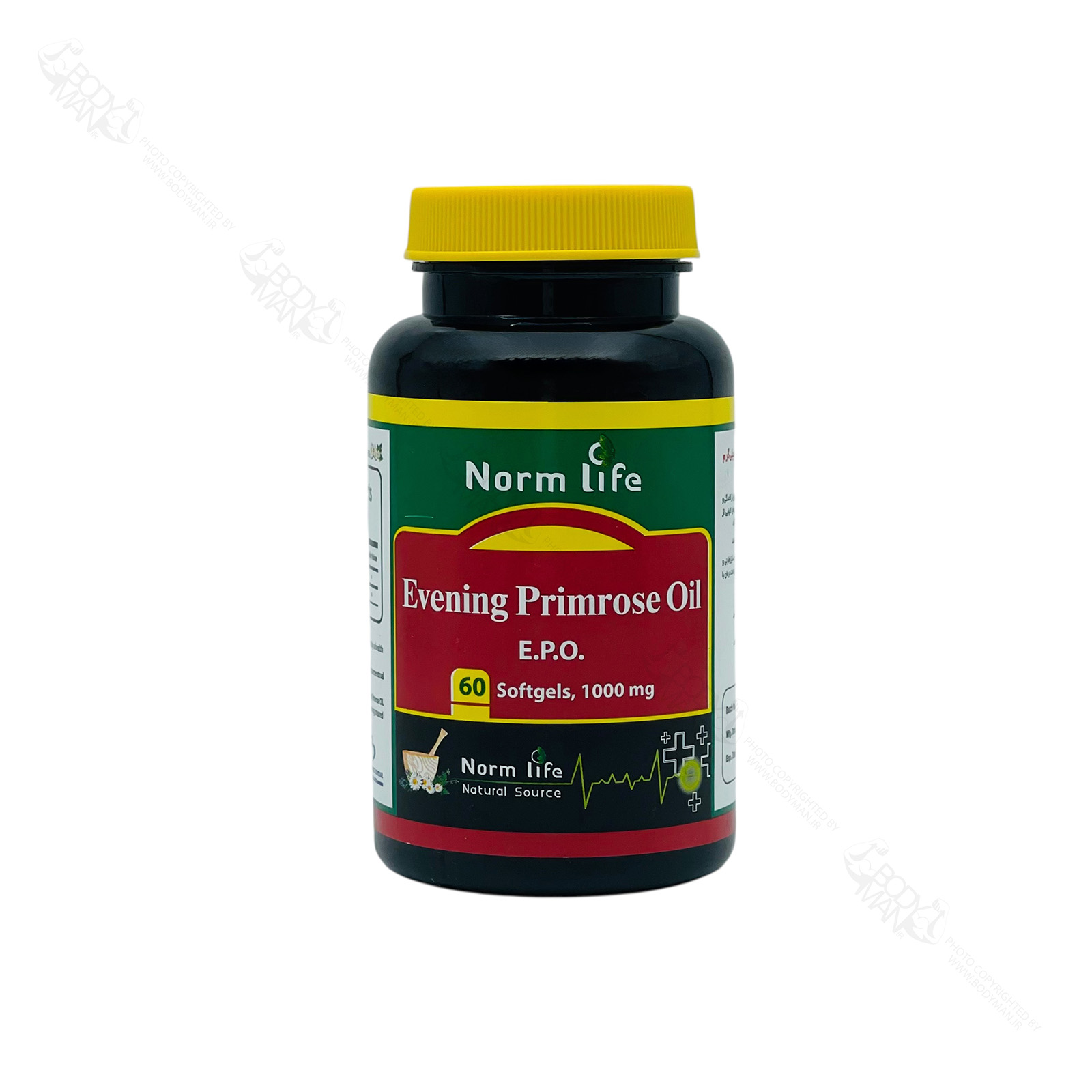 Norm Life Evening Primrose Oil ایونینگ پرایم رز روغن گل مغربی نرم لایف