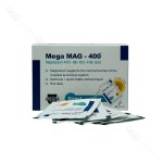 ساشه مگا مگ ۴۰۰