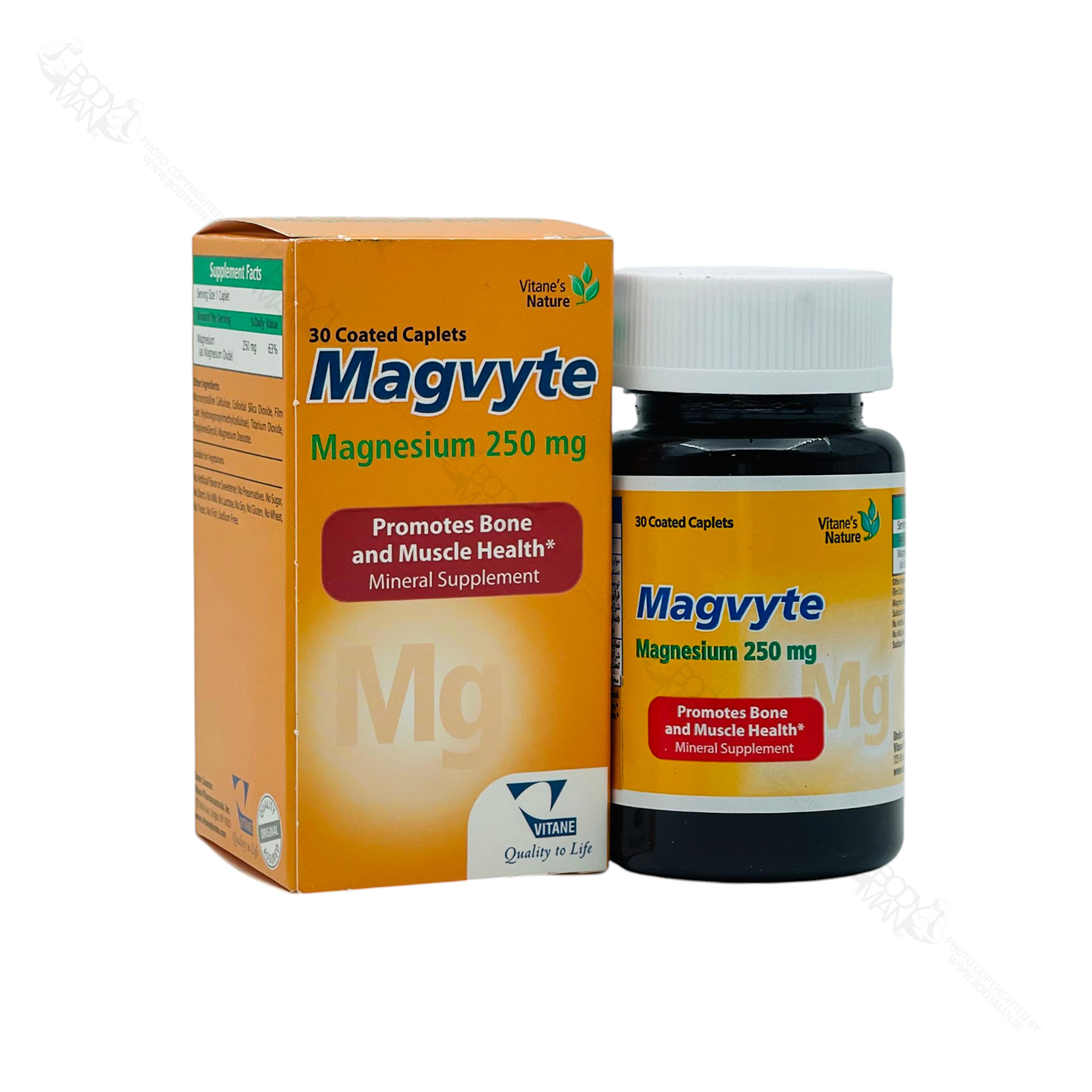 VITANE Magvyte مگویت ویتان